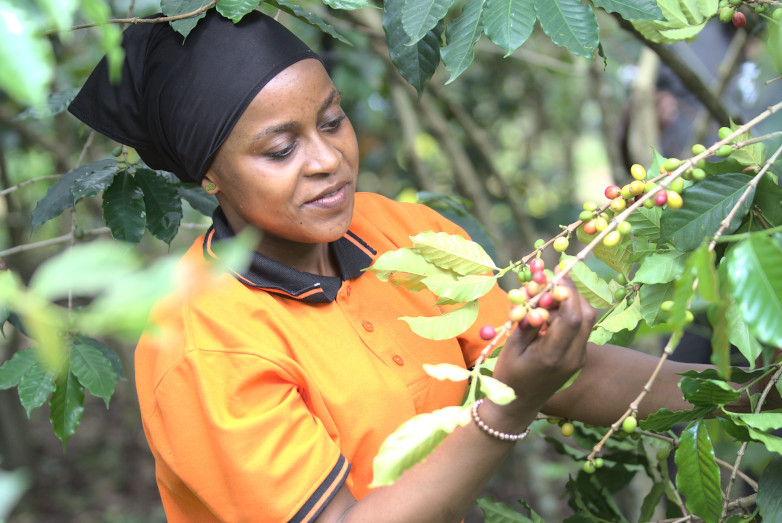 UG Coffee woman