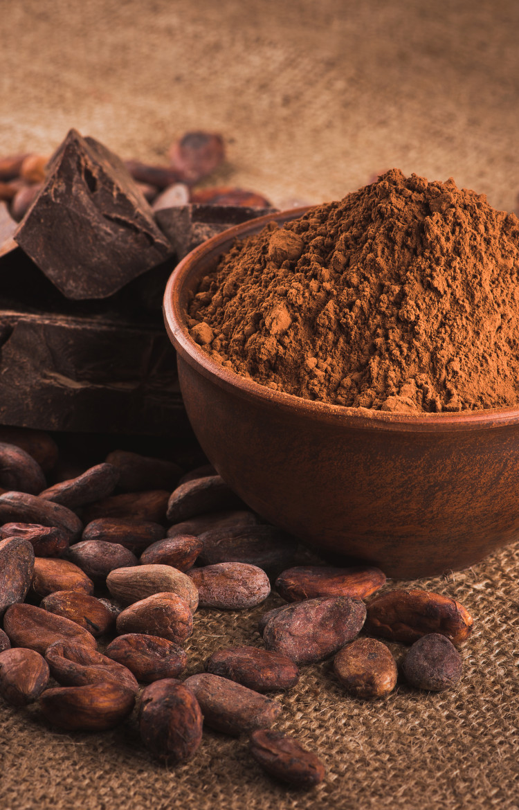 Chocolate with cacao powder and beans