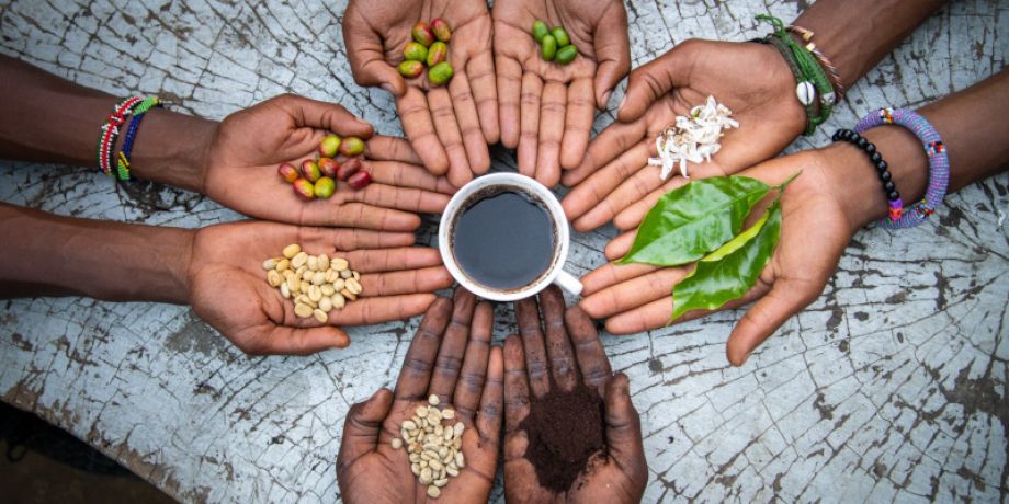 Four hands holding coffee in different forms